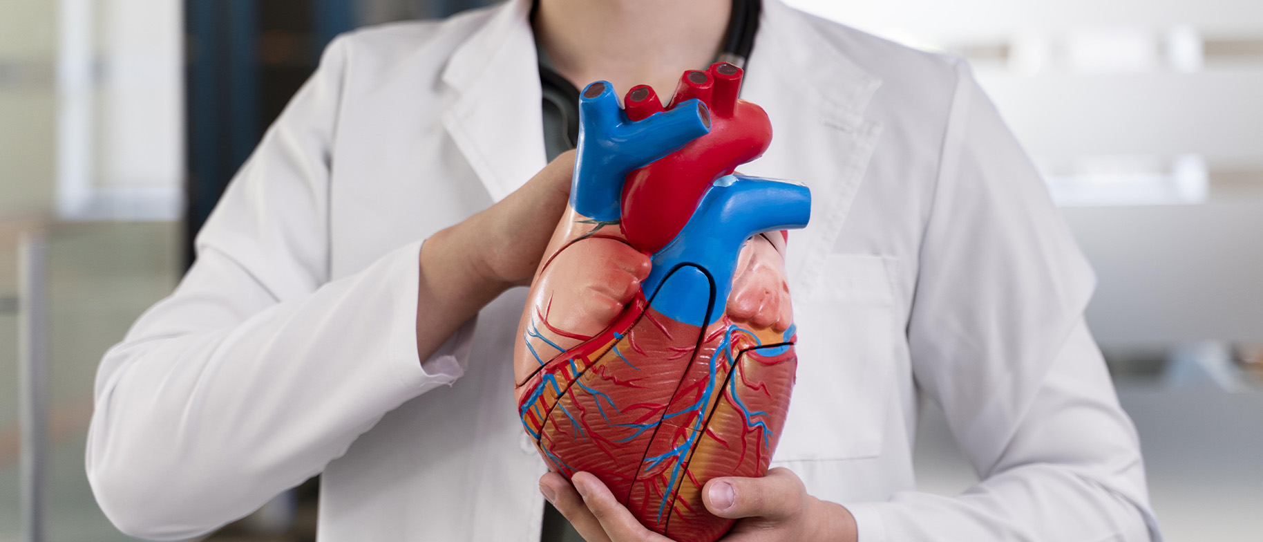 Ateroskleróza: Když se cévy zanášejí a ztrácí pružnost